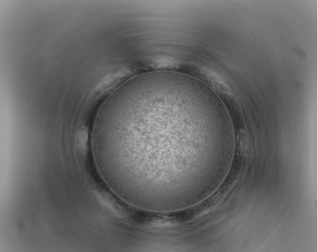 X0000113220550200909171557