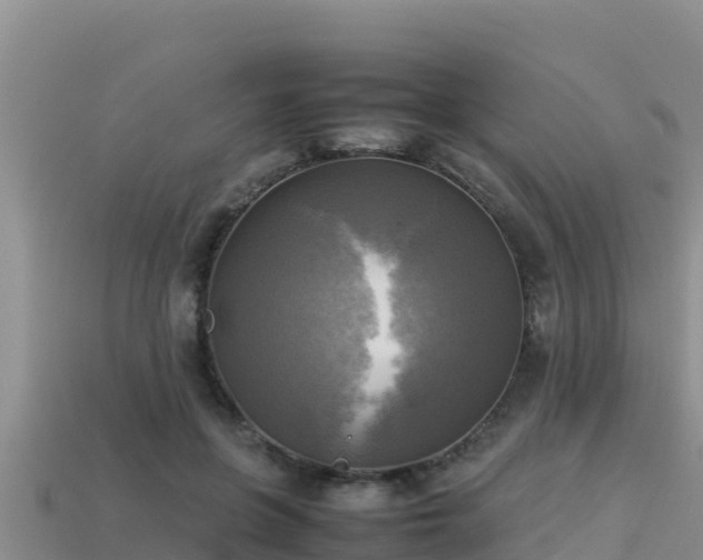 X0000113220551200909171557