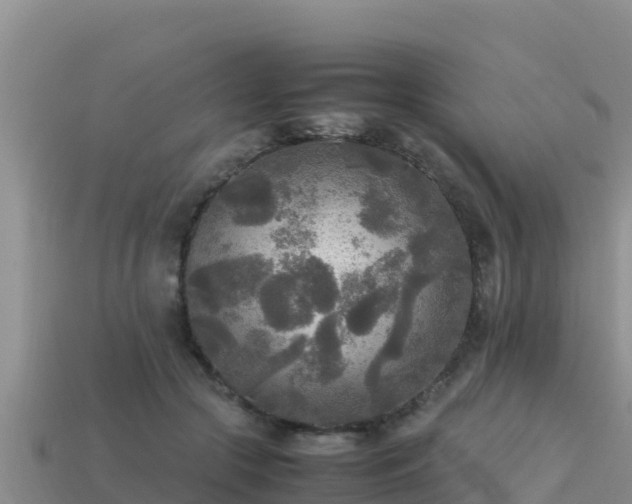 X0000113220553200909171557