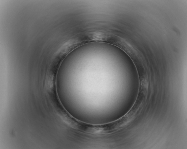 X0000113220554200909171557