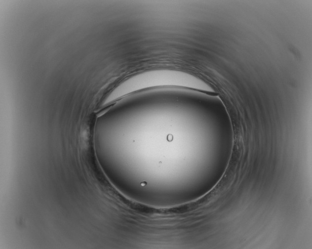 X0000113220556200909171557