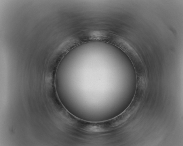 X0000113220557200909171557