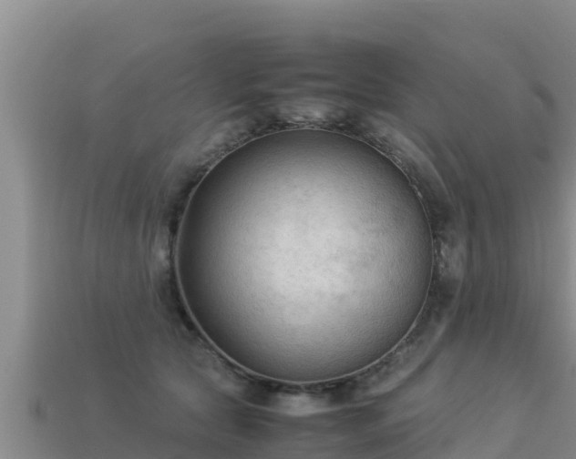 X0000113220561200909171557