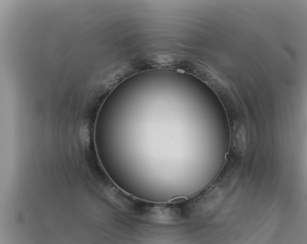 X0000113220562200909171557