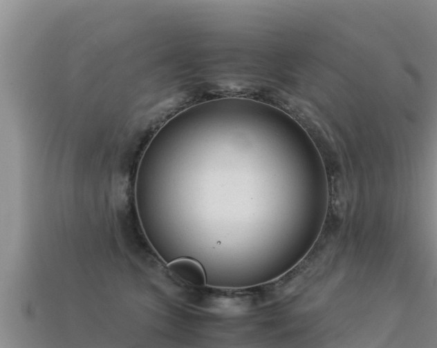 X0000113220563200909171557