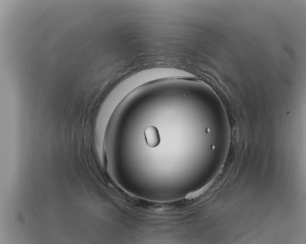 X0000113220564200909171557