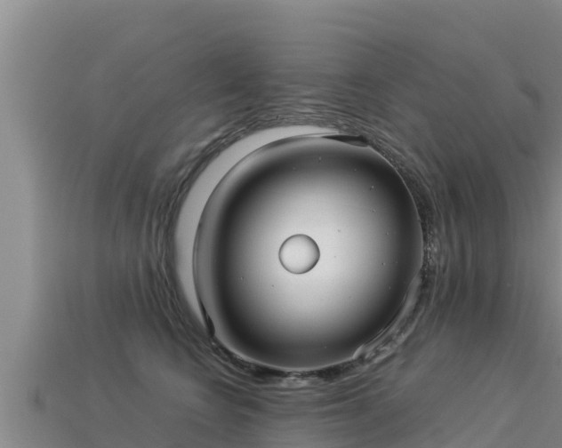 X0000113220566200909171557