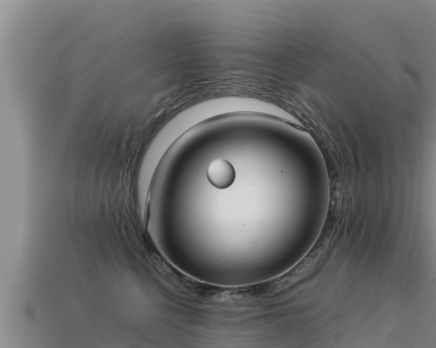 X0000113220568200909171557