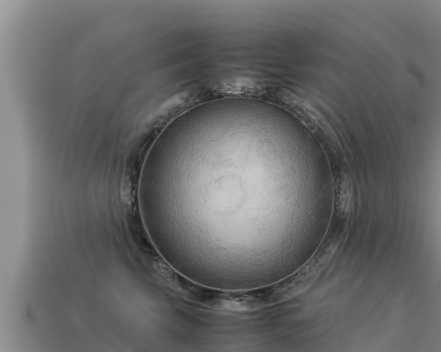 X0000113220569200909171557