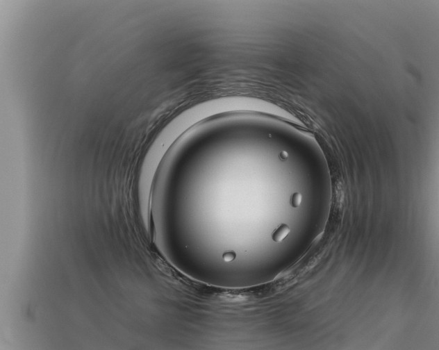 X0000113220570200909171557