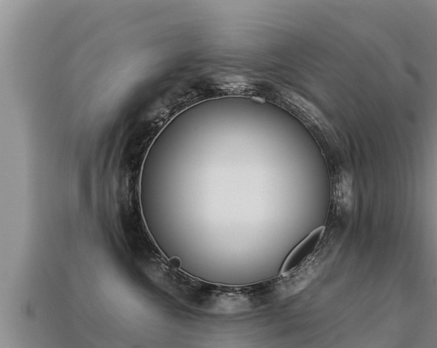 X0000113220572200909171557