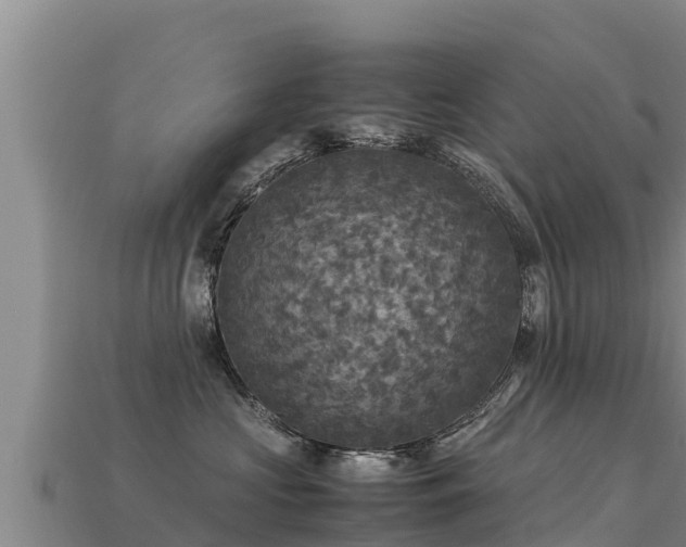 X0000113220573200909171557