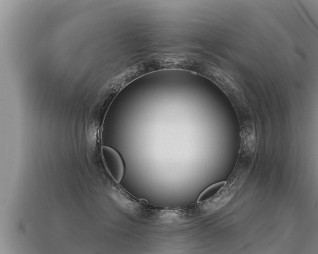 X0000113220574200909171557