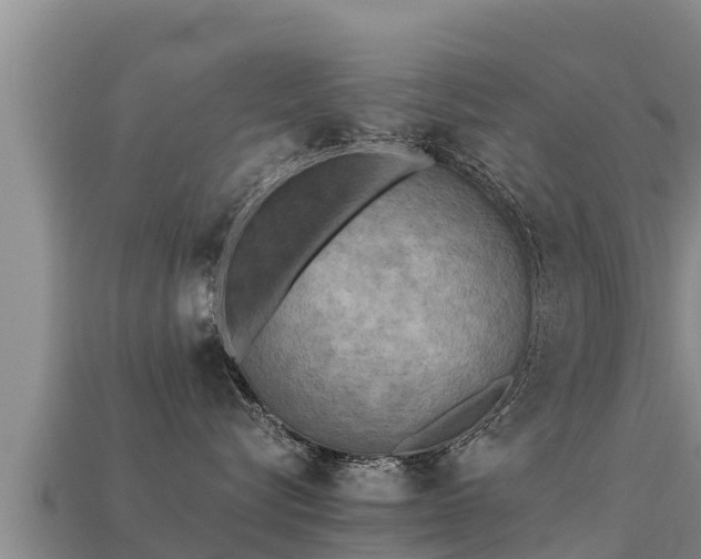 X0000113220576200909171557