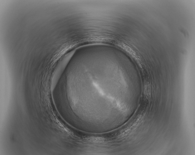 X0000113220577200909171557