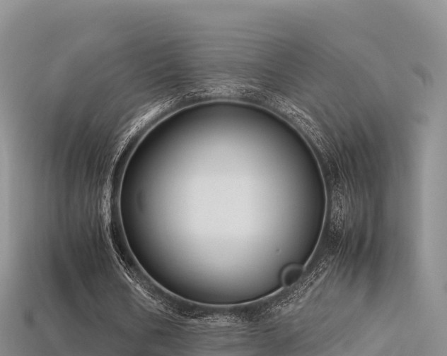 X0000113220578200909171557