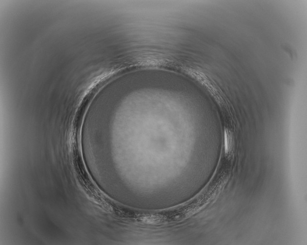 X0000113220579200909171557