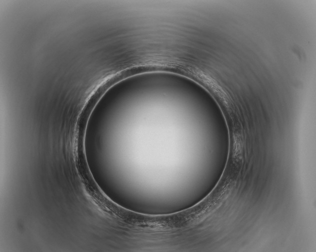 X0000113220580200909171557