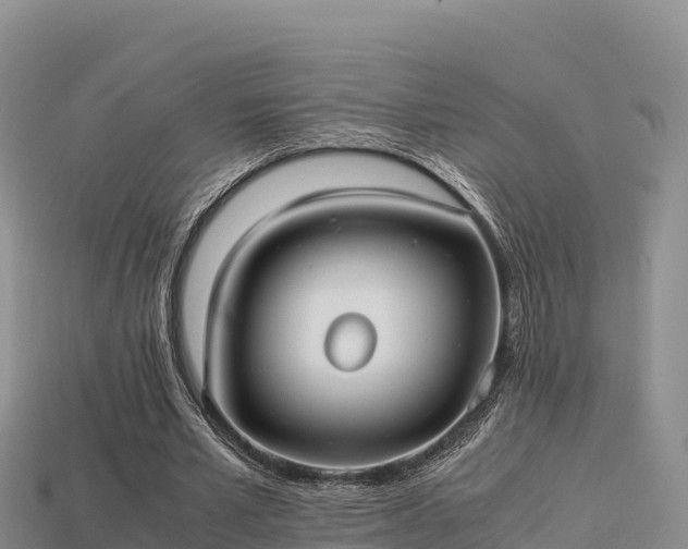 X0000113220581200909171557