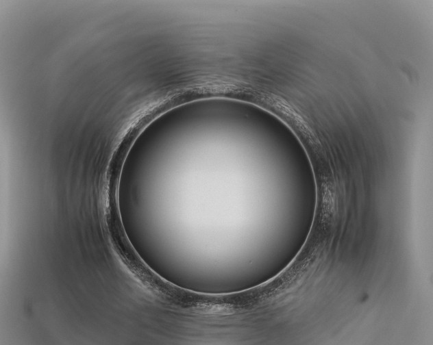 X0000113220582200909171557