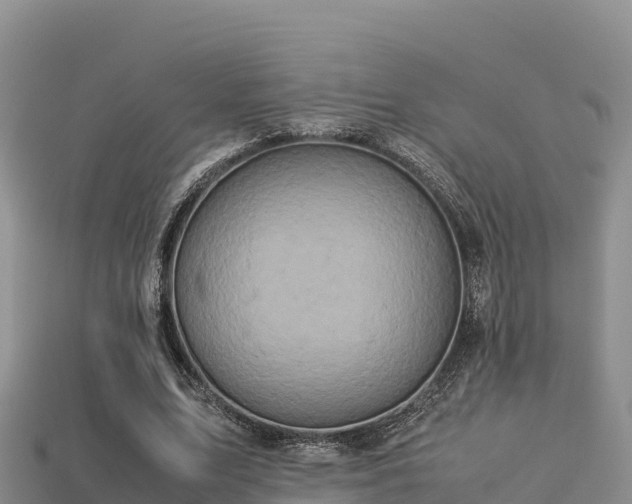 X0000113220583200909171557