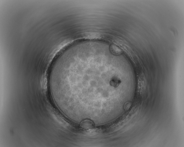 X0000113220584200909171557