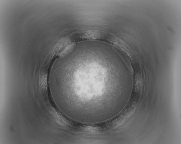 X0000113220585200909171557