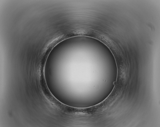 X0000113220586200909171557