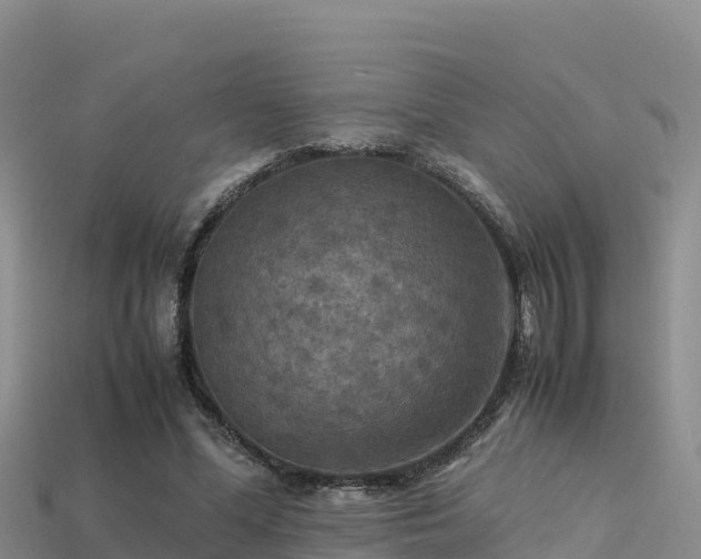 X0000113220588200909171557