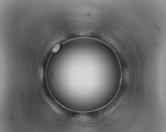 X0000113220589200909171557