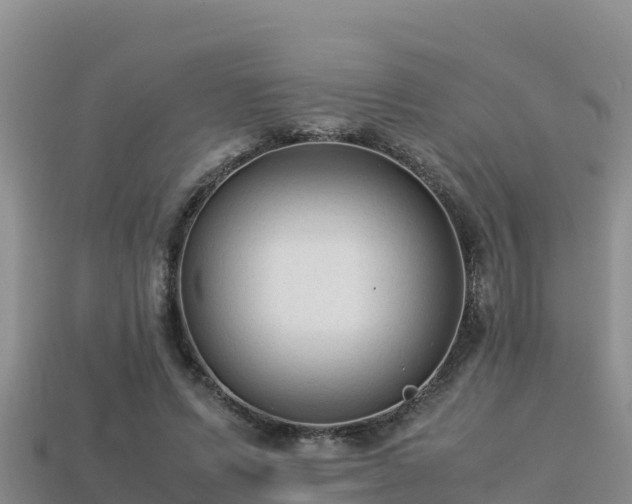 X0000113220591200909171556