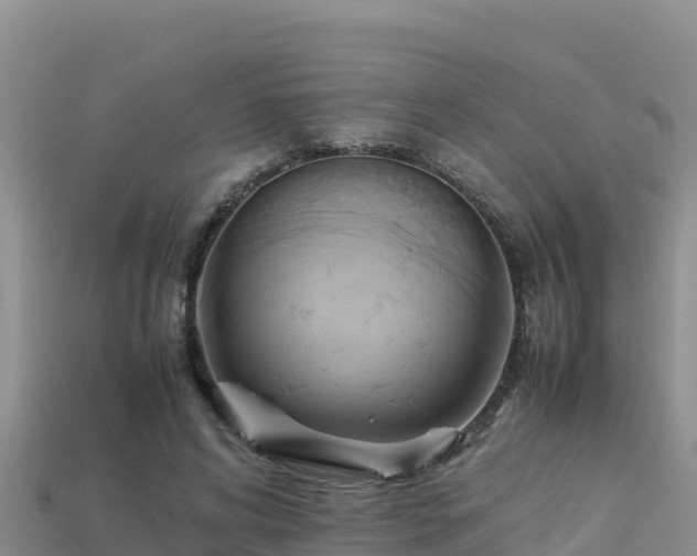 X0000113220592200909171556