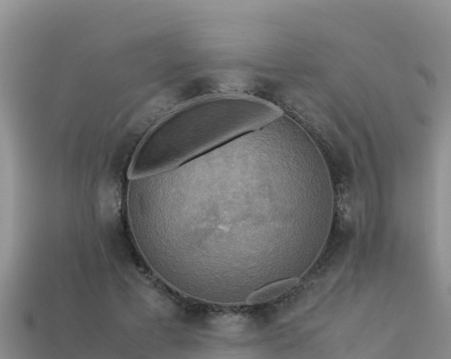 X0000113220593200909171556