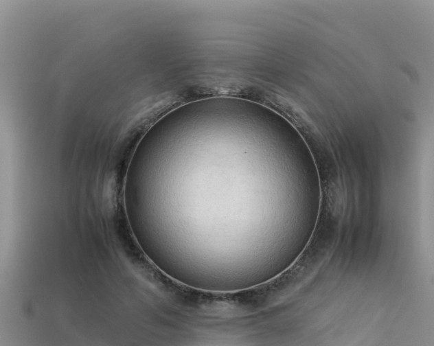 X0000113220594200909171556