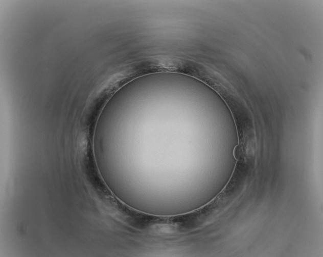 X0000113220595200909171556