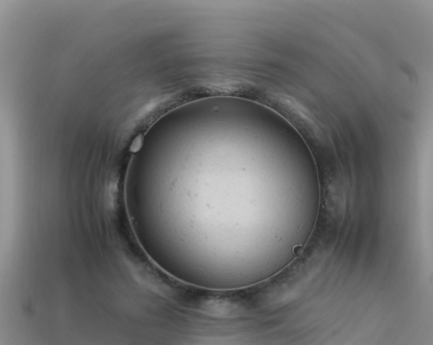 X0000113220596200909171556