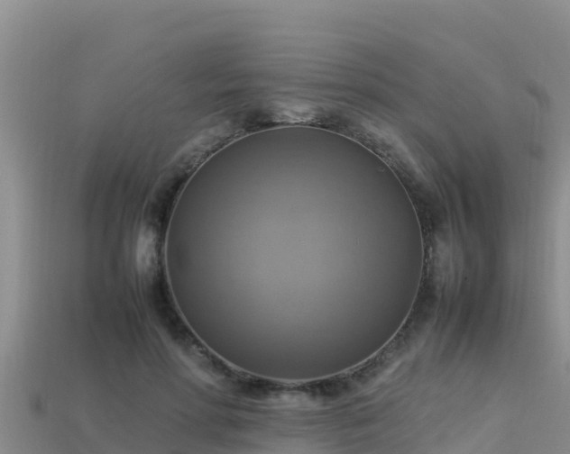 X0000113220598200909171556