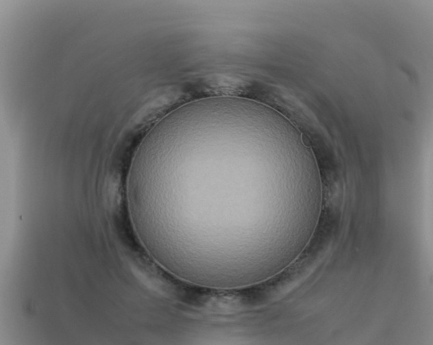 X0000113220599200909171556