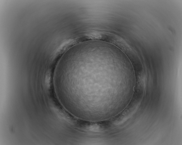 X0000113220600200909171556