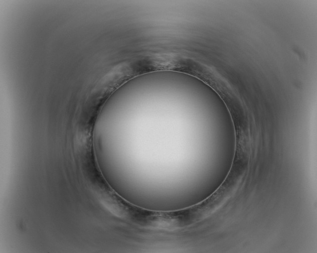 X0000113220601200909171556