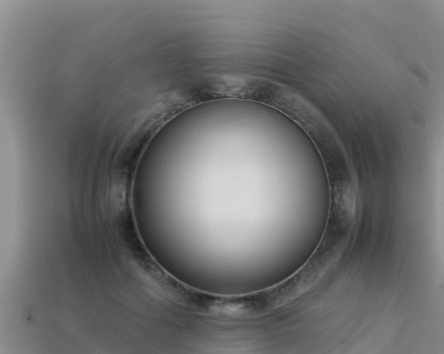 X0000113220602200909171556