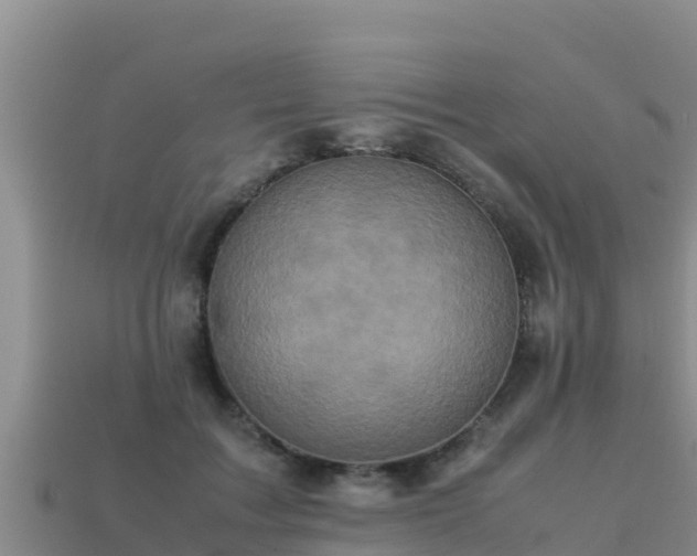 X0000113220603200909171556