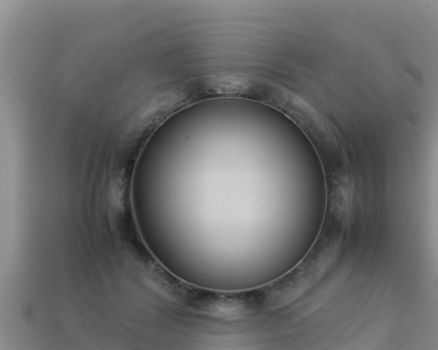 X0000113220604200909171556