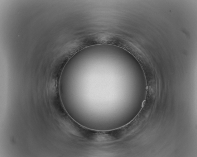 X0000113220605200909171556