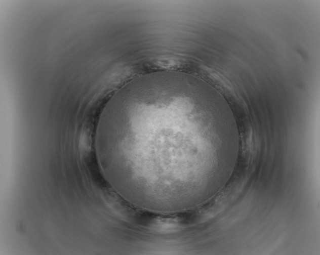 X0000113220606200909171556