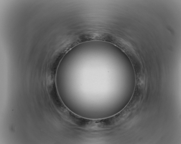 X0000113220607200909171556