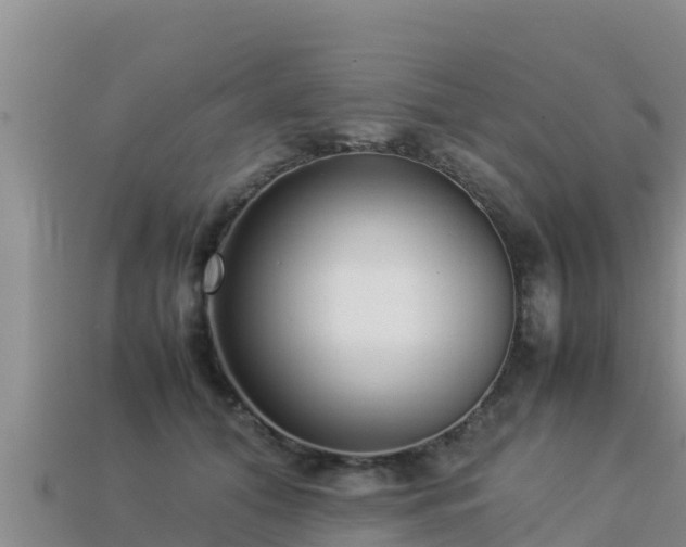 X0000113220608200909171556