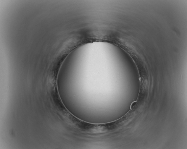 X0000113220609200909171556