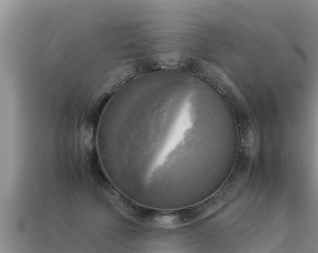 X0000113220610200909171556