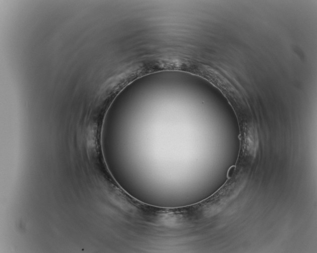 X0000113220616200909171556